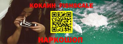 apvp Краснодар