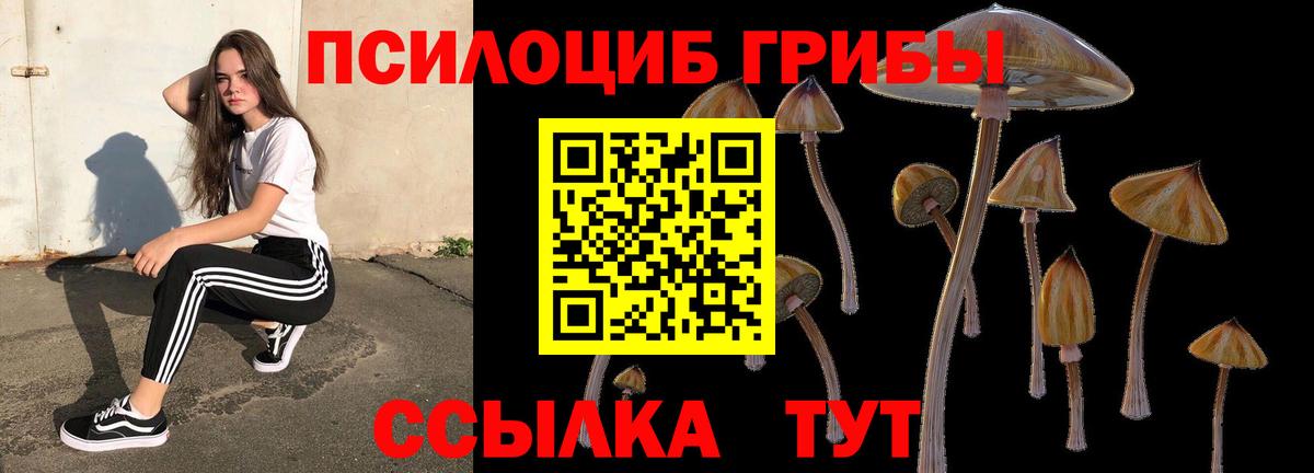 Псилоцибиновые грибы мухоморы  Вход с VPN  Зеленокумск 